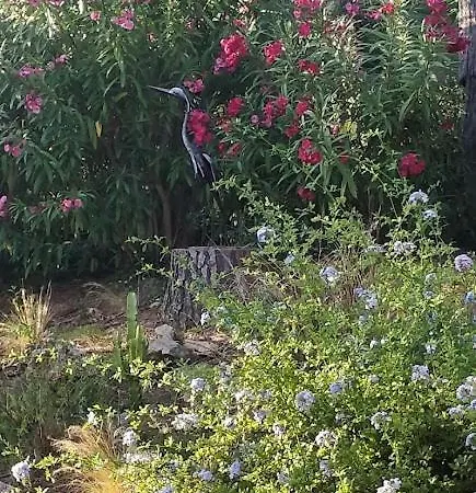 La Beluga Casa de hóspedes