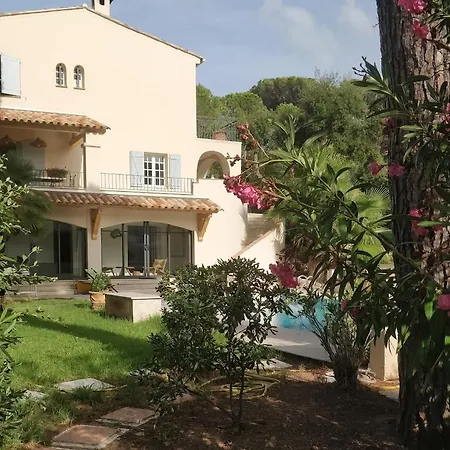 La Beluga Sainte-Maxime