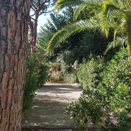 La Beluga 4* Sainte-Maxime