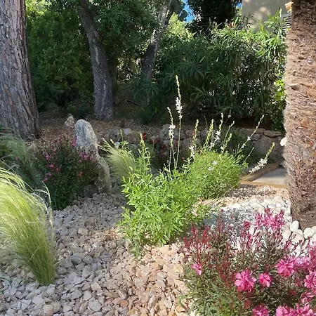 La Beluga Guest house *