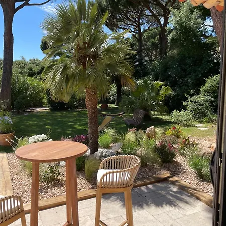 La Beluga Sainte-Maxime