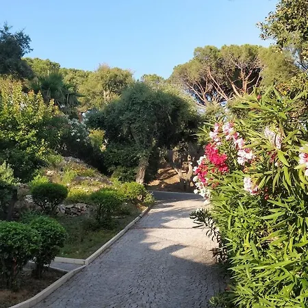 La Beluga ゲストハウス サント・マキシム