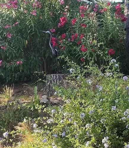 La Beluga Vendégház