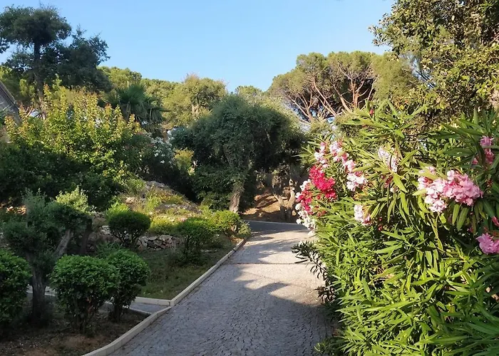 La Beluga Vendégház Sainte-Maxime