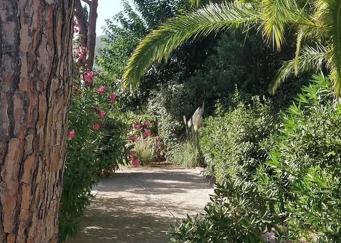 La Beluga 4* سانت ماكسيم