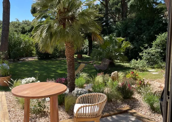 La Beluga Sainte-Maxime